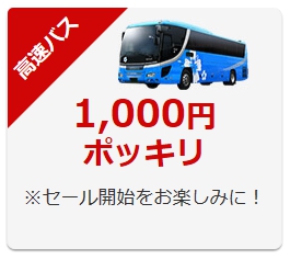 rakuten-supersale-kousoku-bus-1000yen.jpg